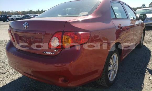 Acheter Neuf Voiture Toyota Corolla Rouge à Badagry, État de Lagos Acheter Neuf Voiture Toyota Corolla Rouge à Badagry, État de Lagos