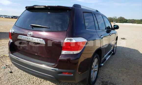 Buy New Toyota Highlander Red Car in Badagry in Lagos State Buy New Toyota Highlander Red Car in Badagry in Lagos State