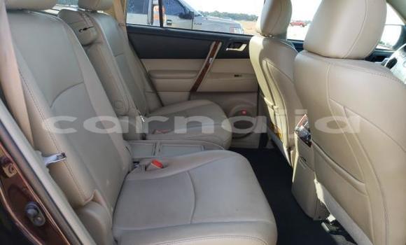 Buy New Toyota Highlander Red Car in Badagry in Lagos State Buy New Toyota Highlander Red Car in Badagry in Lagos State