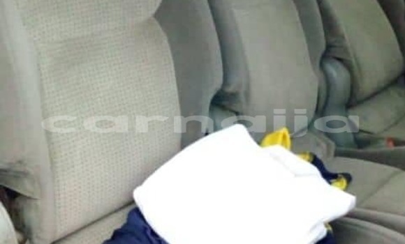 Acheter Occasion Voiture Toyota Sienna Gris à Lagos, État de Lagos Acheter Occasion Voiture Toyota Sienna Gris à Lagos, État de Lagos