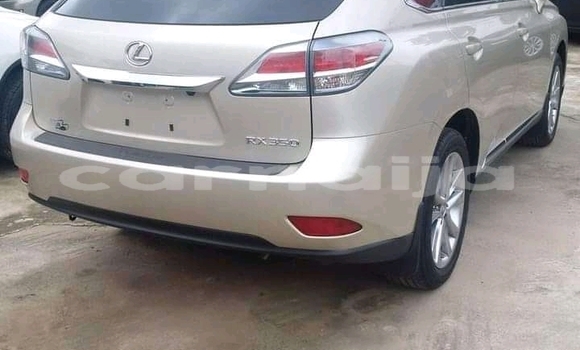 Acheter Neuf Voiture Lexus RX 350 Blanc à Abuja, État de Lagos Acheter Neuf Voiture Lexus RX 350 Blanc à Abuja, État de Lagos