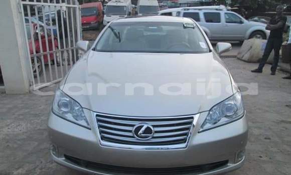 Buy New Lexus ES Brown Car in Katsina in Katsina