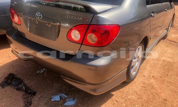 Buy Used Toyota Corolla Green Car in Adogo in Kogi State