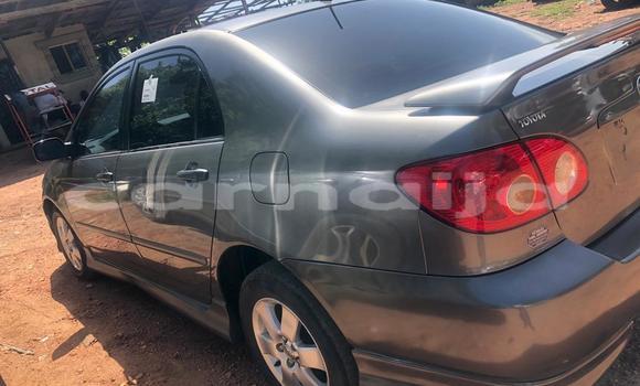 Acheter Occasion Voiture Toyota Corolla Vert à Adogo, État de Kogi Acheter Occasion Voiture Toyota Corolla Vert à Adogo, État de Kogi