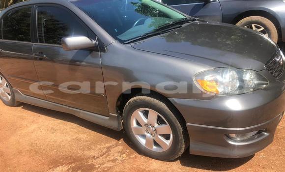 Acheter Occasion Voiture Toyota Corolla Vert à Adogo, État de Kogi Acheter Occasion Voiture Toyota Corolla Vert à Adogo, État de Kogi