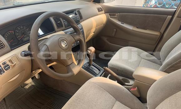 Acheter Occasion Voiture Toyota Corolla Autre à Ajingi, État de Kano Acheter Occasion Voiture Toyota Corolla Autre à Ajingi, État de Kano