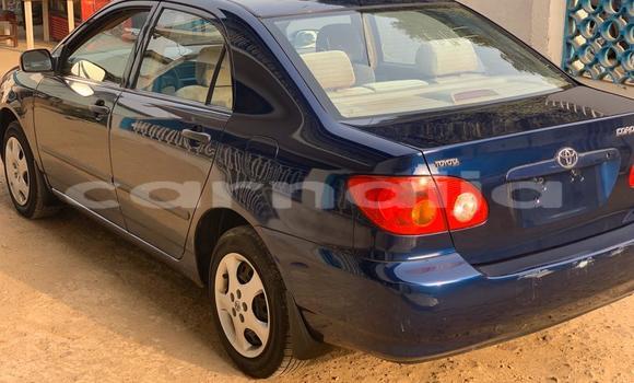 Acheter Occasion Voiture Toyota Corolla Autre à Ajingi, État de Kano Acheter Occasion Voiture Toyota Corolla Autre à Ajingi, État de Kano