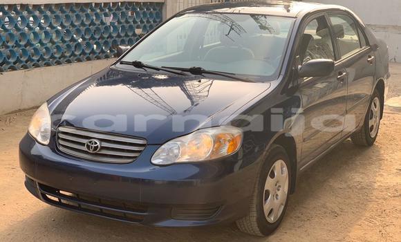 Acheter Occasion Voiture Toyota Corolla Autre à Ajingi, État de Kano Acheter Occasion Voiture Toyota Corolla Autre à Ajingi, État de Kano