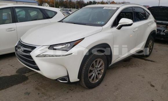 Acheter Import Voiture Lexus NX Autre à Lagos, État de Lagos Acheter Import Voiture Lexus NX Autre à Lagos, État de Lagos
