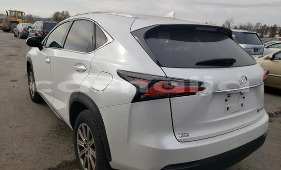 Acheter Import Voiture Lexus NX Autre à Lagos, État de Lagos Acheter Import Voiture Lexus NX Autre à Lagos, État de Lagos