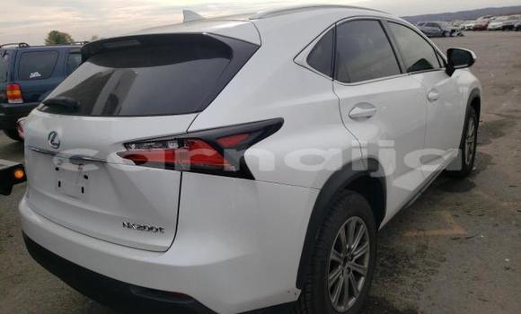Acheter Import Voiture Lexus NX Autre à Lagos, État de Lagos Acheter Import Voiture Lexus NX Autre à Lagos, État de Lagos