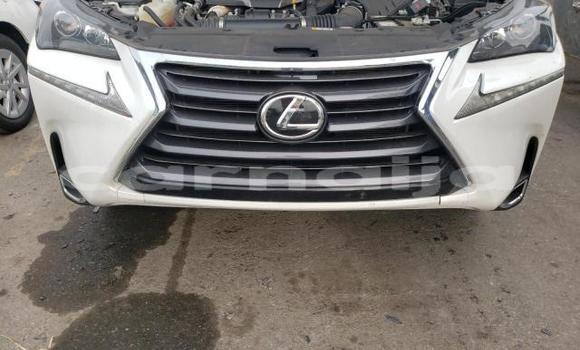 Acheter Import Voiture Lexus NX Autre à Lagos, État de Lagos Acheter Import Voiture Lexus NX Autre à Lagos, État de Lagos