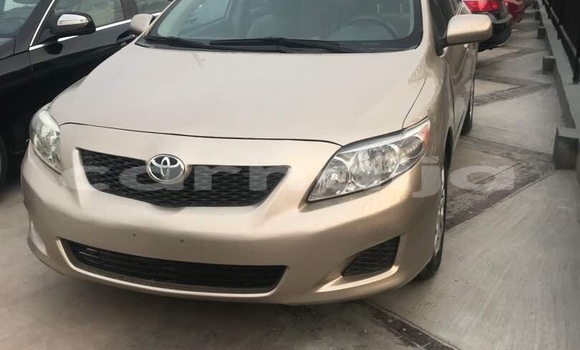 Buy Used Toyota Corolla Brown Car in Lagos in Lagos State