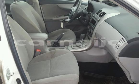 Buy Used Toyota Corolla White Car in Lagos in Lagos State Buy Used Toyota Corolla White Car in Lagos in Lagos State