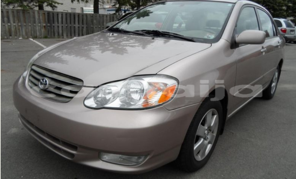 Acheter Import Voiture Toyota Corolla Autre à Abuja, État de Lagos Acheter Import Voiture Toyota Corolla Autre à Abuja, État de Lagos