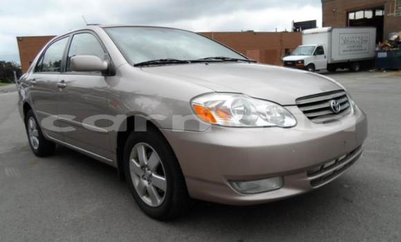 Acheter Import Voiture Toyota Corolla Autre à Abuja, État de Lagos Acheter Import Voiture Toyota Corolla Autre à Abuja, État de Lagos