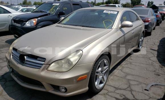 Buy New Mercedes-Benz CLS–Class Brown Car in Badagry in Lagos State Buy New Mercedes-Benz CLS–Class Brown Car in Badagry in Lagos State