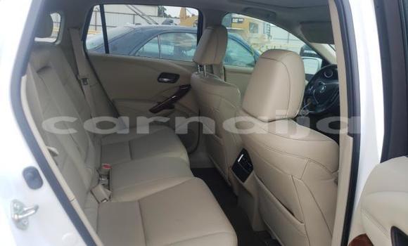 Acheter Neuf Voiture Acura RDX Blanc à Badagry, État de Lagos Acheter Neuf Voiture Acura RDX Blanc à Badagry, État de Lagos