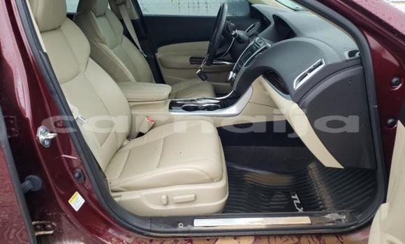 Acheter Neuf Voiture Acura TLX Rouge à Badagry, État de Lagos Acheter Neuf Voiture Acura TLX Rouge à Badagry, État de Lagos