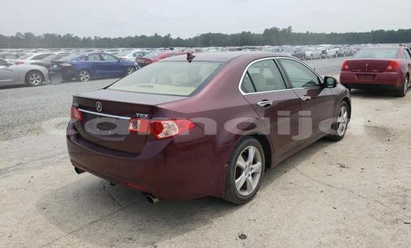 Buy New Acura TSX Red Car in Badagry in Lagos State Buy New Acura TSX Red Car in Badagry in Lagos State