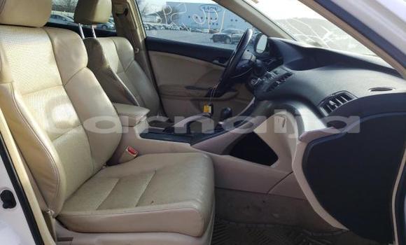 Acheter Neuf Voiture Acura TSX Blanc à Badagry, État de Lagos Acheter Neuf Voiture Acura TSX Blanc à Badagry, État de Lagos