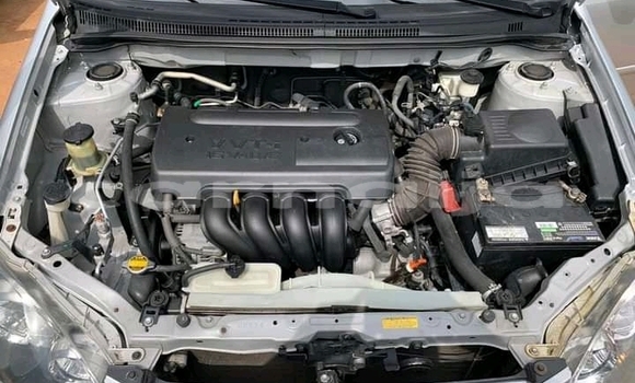 Buy Used Toyota Corolla Silver Car in Asaba in Delta State Buy Used Toyota Corolla Silver Car in Asaba in Delta State