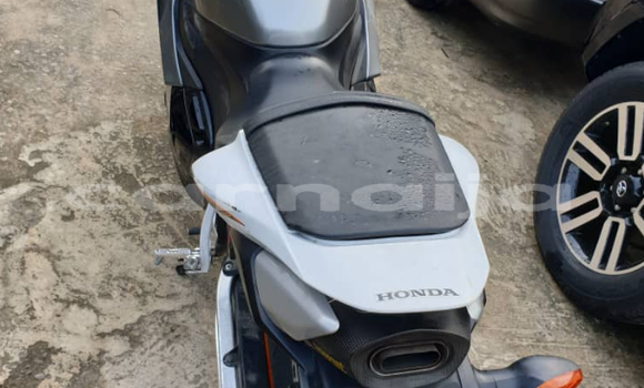 Buy Used Honda CBR Beige Bike in Ibadan in Oyo State Buy Used Honda CBR Beige Bike in Ibadan in Oyo State