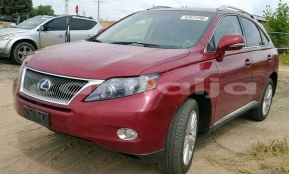 Acheter Import Voiture Lexus RX 330 Rouge à Zaria, État de Kaduna Acheter Import Voiture Lexus RX 330 Rouge à Zaria, État de Kaduna