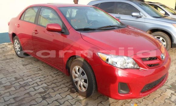 Buy Used Toyota Corolla Red Car in Lagos in Lagos State