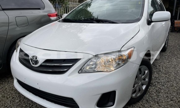 Buy Used Toyota Corolla White Car in Lagos in Lagos State