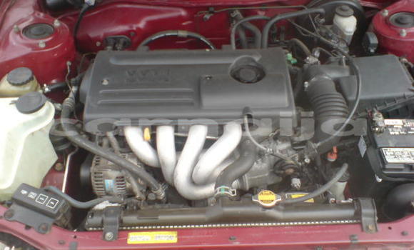 Buy Used Toyota Corolla Red Car in Lagos in Lagos State Buy Used Toyota Corolla Red Car in Lagos in Lagos State