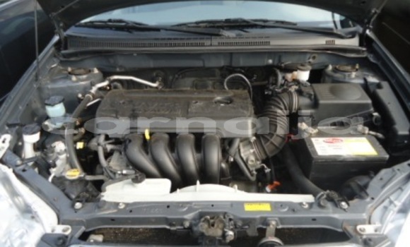 Buy Used Toyota Corolla Other Car in Orlu in Imo State Buy Used Toyota Corolla Other Car in Orlu in Imo State