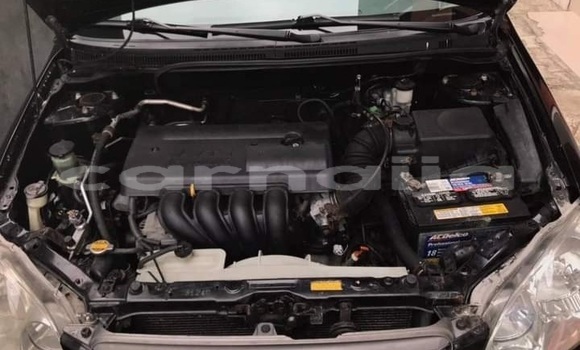 Acheter Occasion Voiture Toyota Corolla Noir à Bwari, Territoire de la capitale fédérale Acheter Occasion Voiture Toyota Corolla Noir à Bwari, Territoire de la capitale fédérale