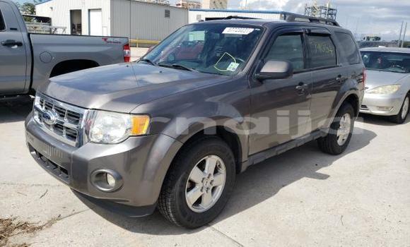 Acheter Neuf Voiture Ford Escape Autre à Badagry, État de Lagos Acheter Neuf Voiture Ford Escape Autre à Badagry, État de Lagos