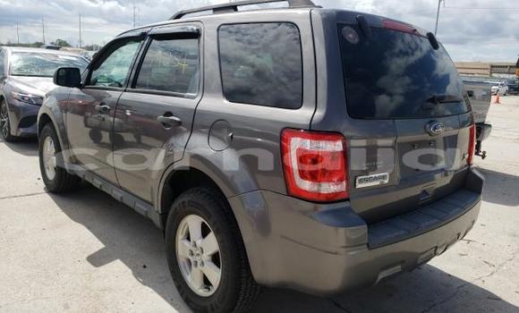 Acheter Neuf Voiture Ford Escape Autre à Badagry, État de Lagos Acheter Neuf Voiture Ford Escape Autre à Badagry, État de Lagos