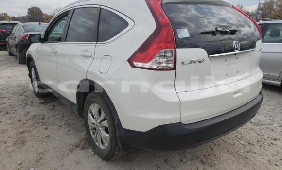 Acheter Neuf Voiture Honda CR–V Blanc à Badagry, État de Lagos Acheter Neuf Voiture Honda CR–V Blanc à Badagry, État de Lagos