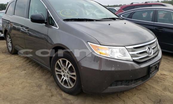 Acheter Neuf Voiture Honda Odyssey Autre à Badagry, État de Lagos