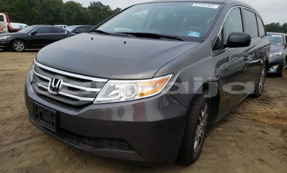 Acheter Neuf Voiture Honda Odyssey Autre à Badagry, État de Lagos Acheter Neuf Voiture Honda Odyssey Autre à Badagry, État de Lagos