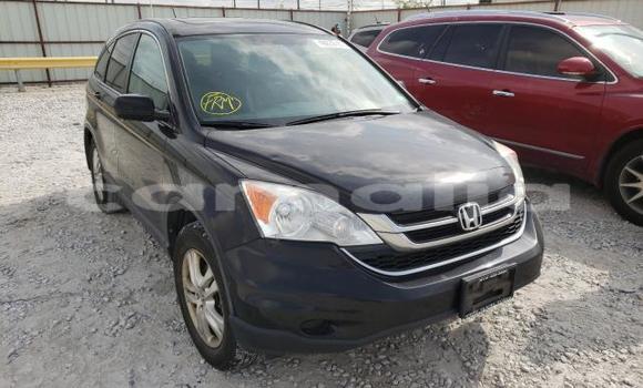 Buy New Honda Accord Black Car in Badagry in Lagos State