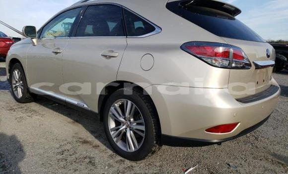 Acheter Neuf Voiture Lexus RX Autre à Badagry, État de Lagos Acheter Neuf Voiture Lexus RX Autre à Badagry, État de Lagos