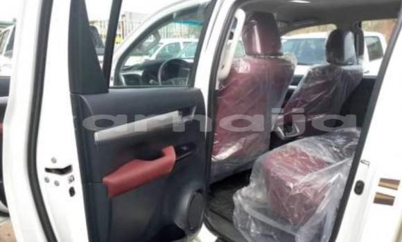 Acheter Import Voiture Toyota Hilux Blanc à Daura, Katsina