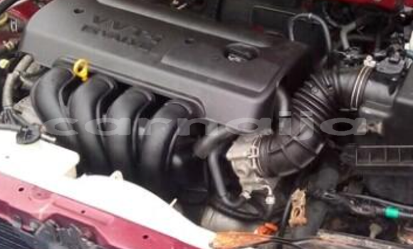 Acheter Occasion Voiture Toyota Corolla Rouge à Badagry, État de Lagos Acheter Occasion Voiture Toyota Corolla Rouge à Badagry, État de Lagos