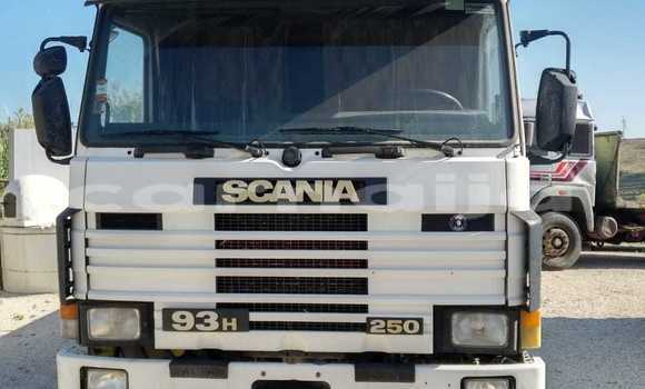 Buy Used Scania R420 White Truck in Festac Town in Lagos State