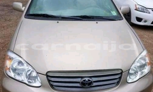 Buy New Toyota Corolla Other Car in Ado–Ekiti in Ekiti State