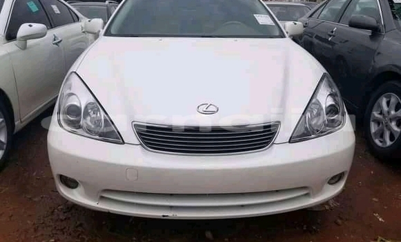 Buy New Lexus ES 300 White Car in Yabo in Sokoto State