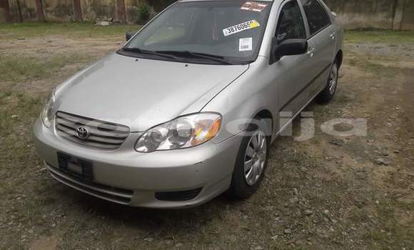 Acheter Occasion Voiture Toyota Corolla Gris à Yorro, Taraba Acheter Occasion Voiture Toyota Corolla Gris à Yorro, Taraba