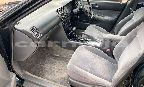 Buy New Honda Accord Other Car in Lagos in Lagos State Buy New Honda Accord Other Car in Lagos in Lagos State