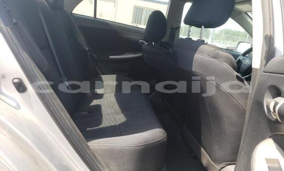 Acheter Import Voiture Toyota Corolla Gris à Daura, Katsina Acheter Import Voiture Toyota Corolla Gris à Daura, Katsina