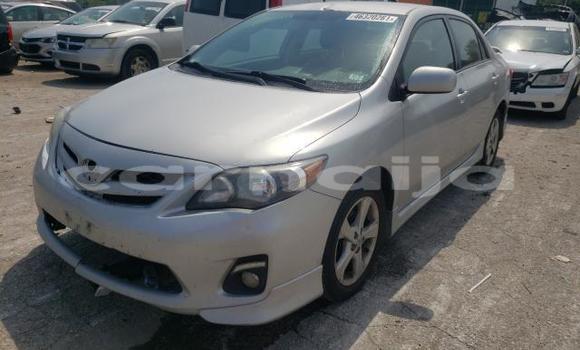 Acheter Import Voiture Toyota Corolla Gris à Daura, Katsina Acheter Import Voiture Toyota Corolla Gris à Daura, Katsina