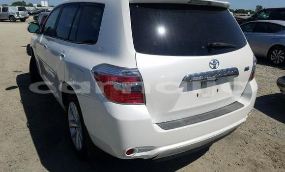 Buy Import Toyota Highlander Silver Car in Daura in Katsina